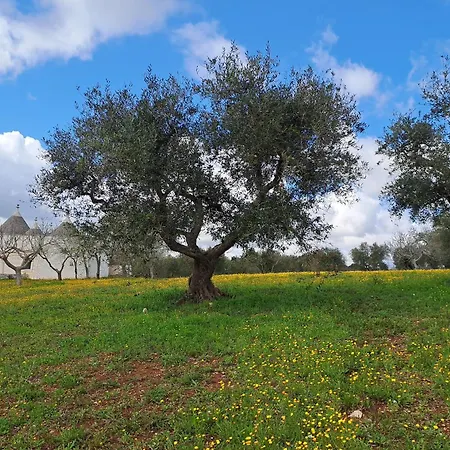 Trulli Carlo Anna Villa Locorotondo Buitenkant foto
