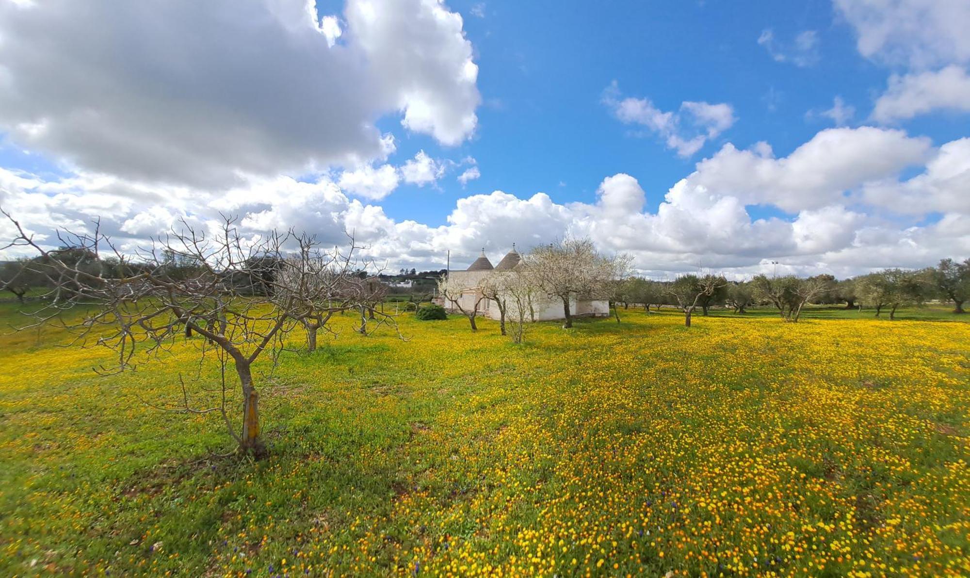 Trulli Carlo Anna Villa