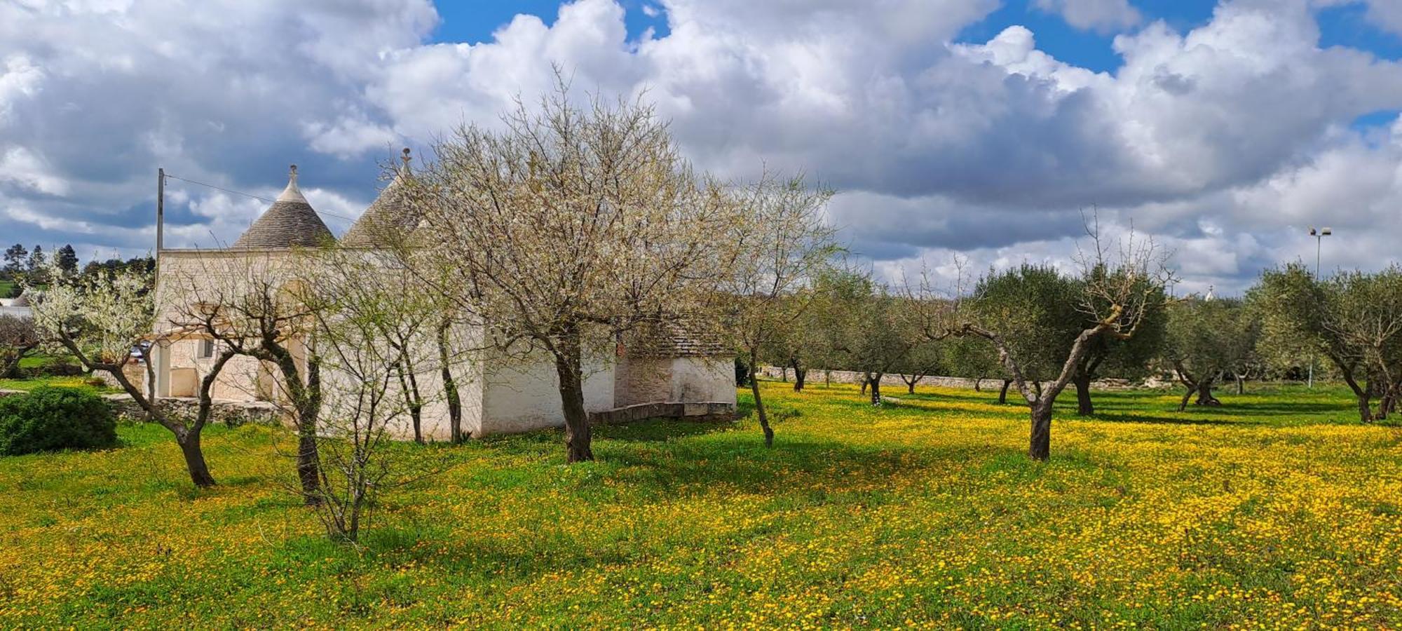 Trulli Carlo Anna *